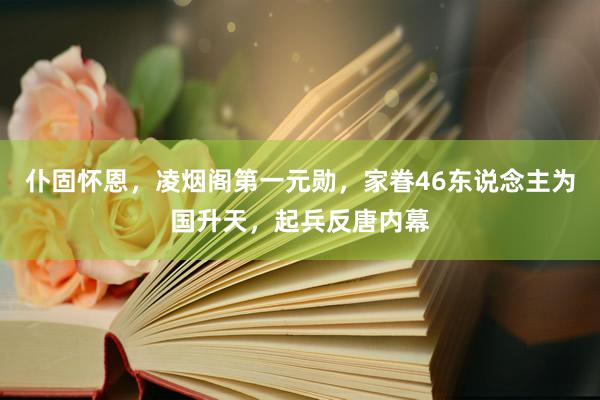 仆固怀恩，凌烟阁第一元勋，家眷46东说念主为国升天，起兵反唐内幕