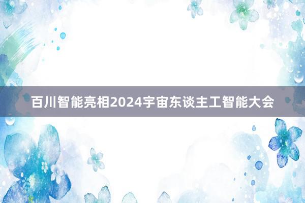 百川智能亮相2024宇宙东谈主工智能大会