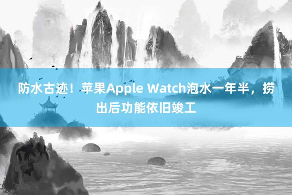 防水古迹！苹果Apple Watch泡水一年半，捞出后功能依旧竣工