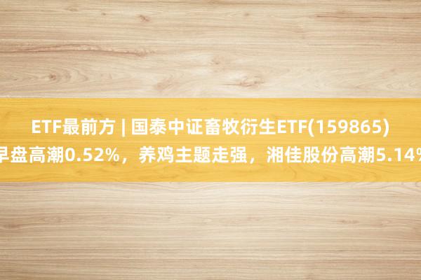 ETF最前方 | 国泰中证畜牧衍生ETF(159865)早盘高潮0.52%，养鸡主题走强，湘佳股份高潮5.14%