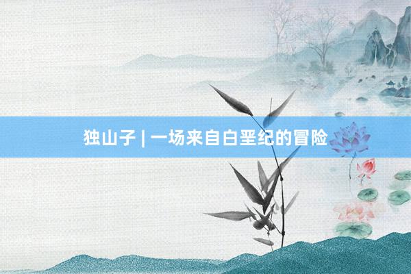 独山子 | 一场来自白垩纪的冒险