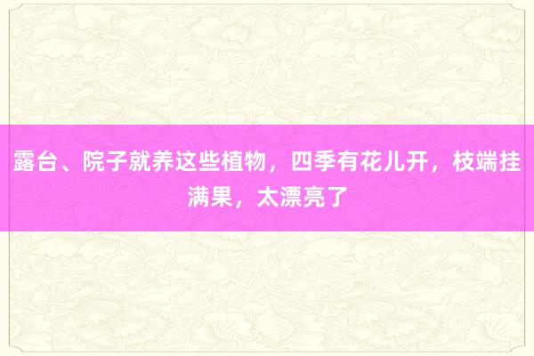 露台、院子就养这些植物，四季有花儿开，枝端挂满果，太漂亮了