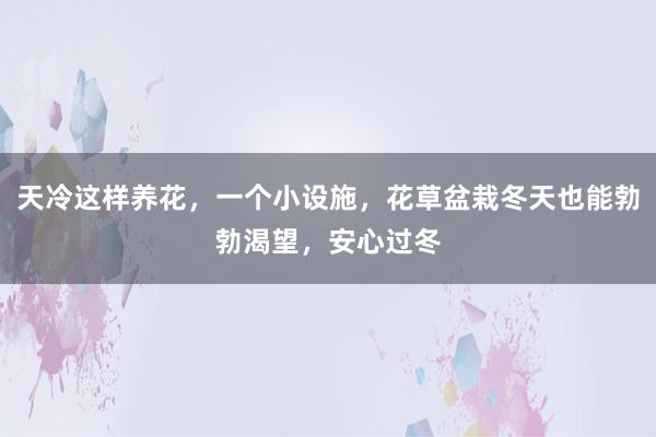 天冷这样养花，一个小设施，花草盆栽冬天也能勃勃渴望，安心过冬