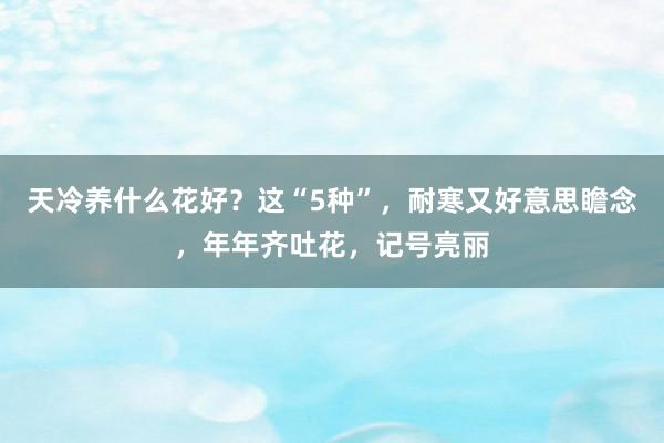 天冷养什么花好？这“5种”，耐寒又好意思瞻念，年年齐吐花，记号亮丽