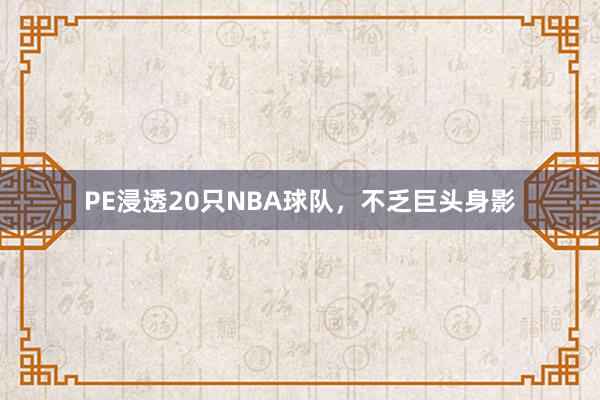 PE浸透20只NBA球队，不乏巨头身影