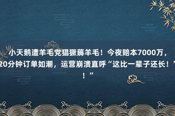 小天鹅遭羊毛党猖獗薅羊毛！今夜赔本7000万，20分钟订单如潮，运营崩溃直呼“这比一辈子还长！”