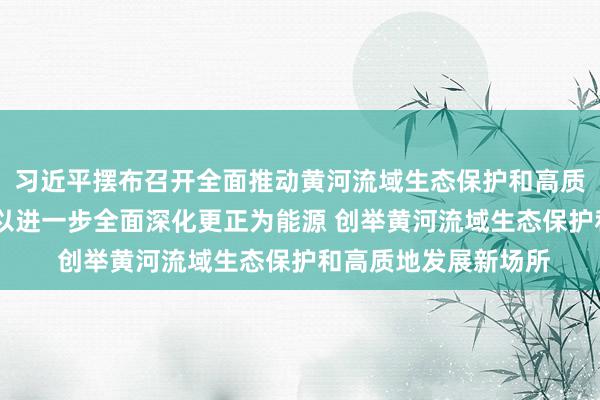 习近平摆布召开全面推动黄河流域生态保护和高质地发展茶话会强调 以进一步全面深化更正为能源 创举黄河流域生态保护和高质地发展新场所