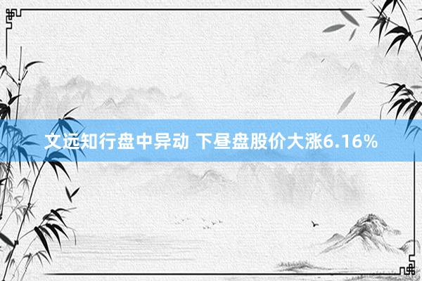 文远知行盘中异动 下昼盘股价大涨6.16%