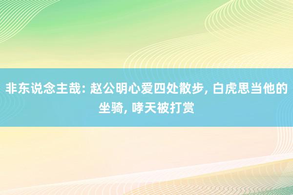 非东说念主哉: 赵公明心爱四处散步, 白虎思当他的坐骑, 哮天被打赏