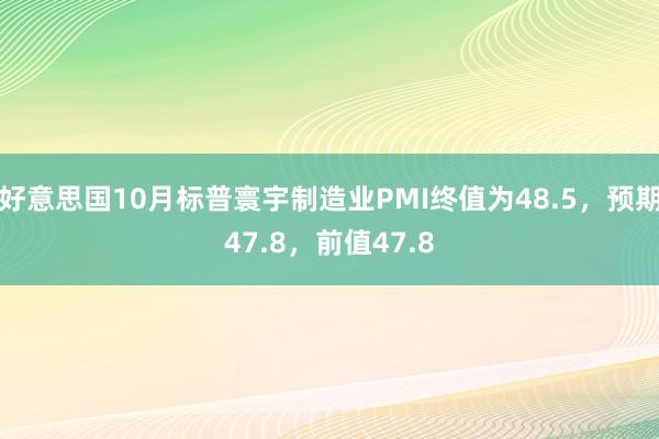 好意思国10月标普寰宇制造业PMI终值为48.5，预期47.8，前值47.8